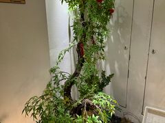 -小竹楼餐厅(窑埠古镇店)