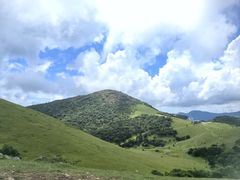 -大姆山草场