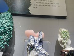 -湖南省地质博物馆