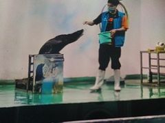 -嘉兴海底世界