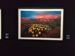 -罗红摄影艺术馆