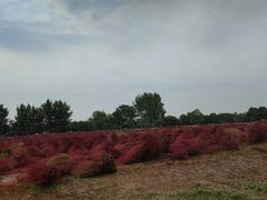 -汉长安城未央宫国家考古遗址公园