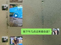-宠物寄养训练学校