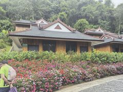 -野象谷景区