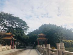 -顺峰山公园
