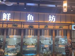 -老船舫·现做活鲜鱼馆(东郊记忆店)