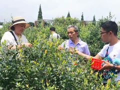 -金谷域澳洲庄园