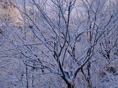 -四明山国家森林公园