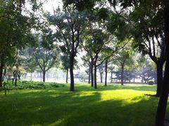 iphone_upload_pic-泰丰公园