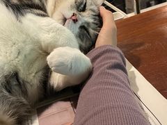 -咖法森林·咖啡  酒吧(天河店)