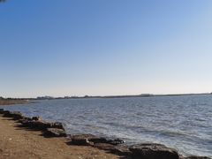 -苏州湾体育公园