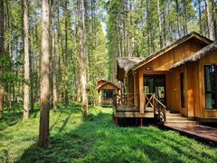 -黄海国家森林公园