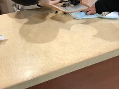 -艾贝尔宠物医院·24H转诊中心·肿瘤猫专科(江宁双龙店)
