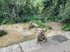-黔灵山公园