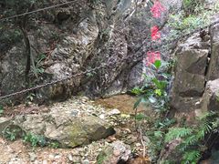 -牛鱼嘴原始生态风景区