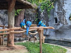 -清迈夜间动物园