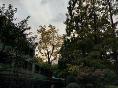 -徐家汇源景区-衡山公园