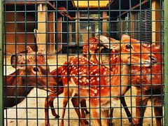 -西山漾湿地公园