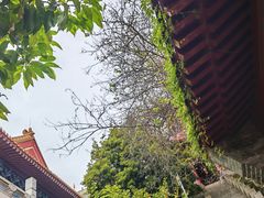 -南沙天后宫景区