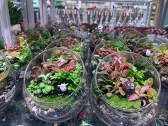 -KKV(深圳宏发大仟里店)