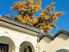 -南京中国近代史遗址博物馆(南京总统府)