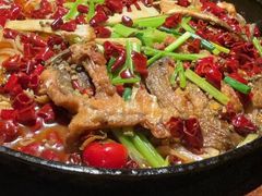 -老板恋上鱼(高新万达店)