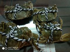 -丫丫蟹庄·苏式园林农家乐·阳澄湖大闸蟹(阳澄湖莲花岛店)