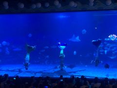 -烟台海昌鲸鲨海洋公园