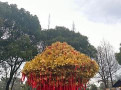 -狼山风景名胜区