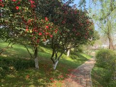 -长春公园(普阳街道)