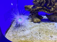 -青岛海底世界-水族馆