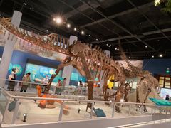 -国家自然博物馆