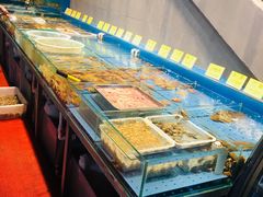自助取餐区-潮庭·大连海鲜·炭火烧烤·扇贝王(大连店)