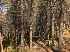 -白草畔自然风景区