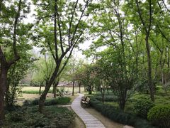 -苏州河梦清园环保主题公园