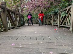 -贵阳市花溪国家城市湿地公园