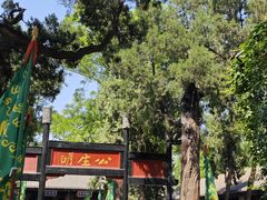 -保定直隶总督署博物馆