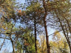 -浮山风景名胜区