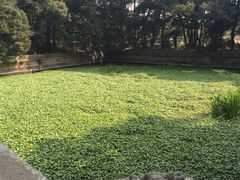 -普陀山风景名胜区-法雨禅寺