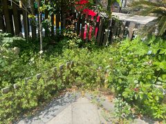 -张家港金凤凰度假村温泉