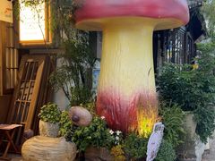 -菌自由丨野生菌火锅特色庭院餐厅(丽江古城店)