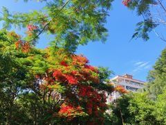 -厦门大学(思明校区)
