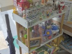 -爱妮康宠物医院·干细胞免疫细胞·肿瘤·心脏(张江店)