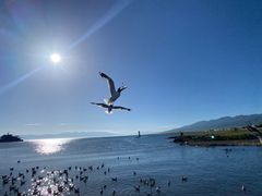 -青海湖二郎剑景区