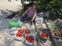 -阳台山自然风景区