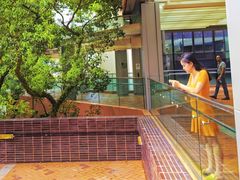 -香港大学