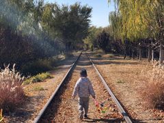 -永定河休闲森林公园