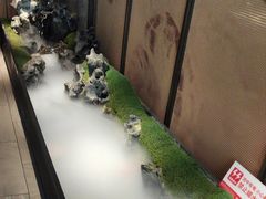 -巴盟人家·内蒙地方菜(华丽家族店)