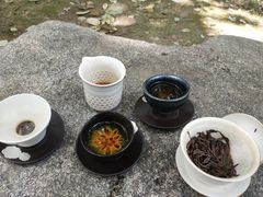 -清凉山国家森林公园