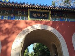 -灵谷景区